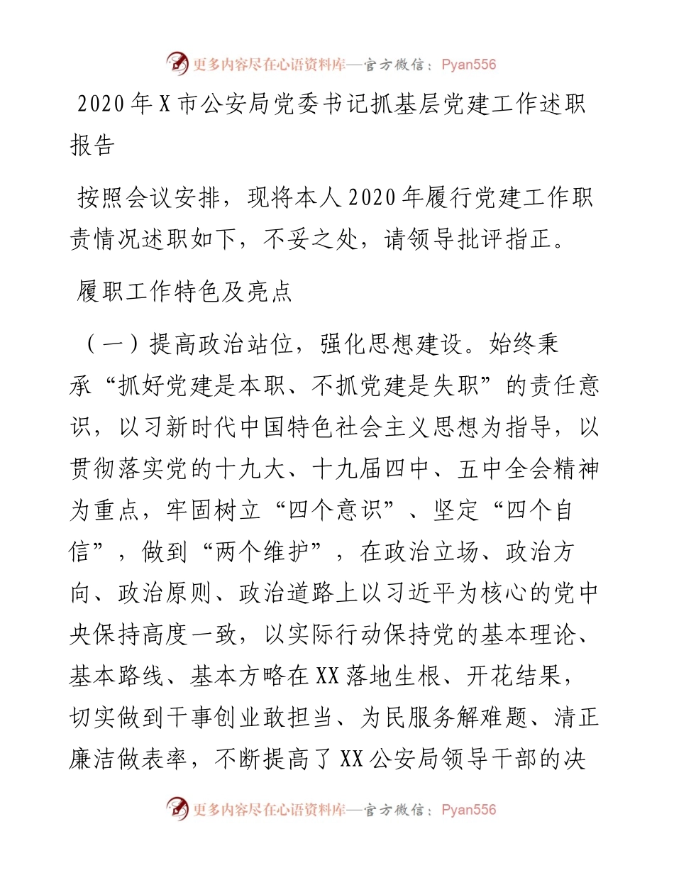 0101X市公安局党委书记抓基层党建工作述职报告.docx_第1页