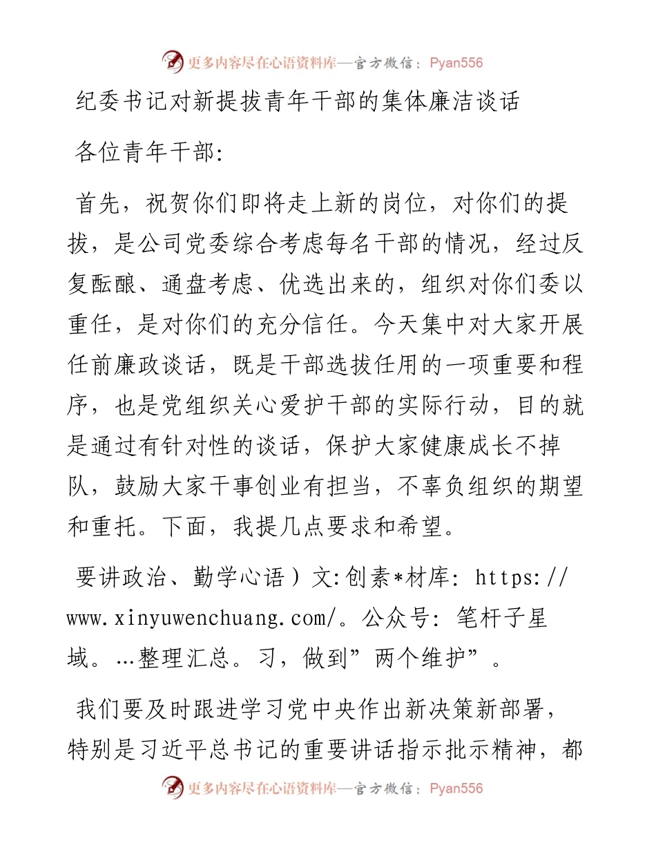 013114：纪委书记对新提拔青年干部的集体廉洁谈话.docx_第1页