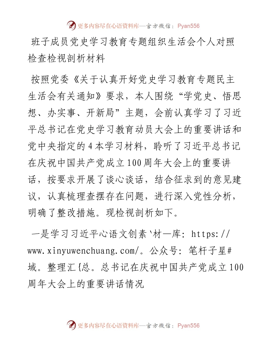 100周年班子成员党史学习教育专题组织生活会个人对照检查检视剖析材料.docx_第1页