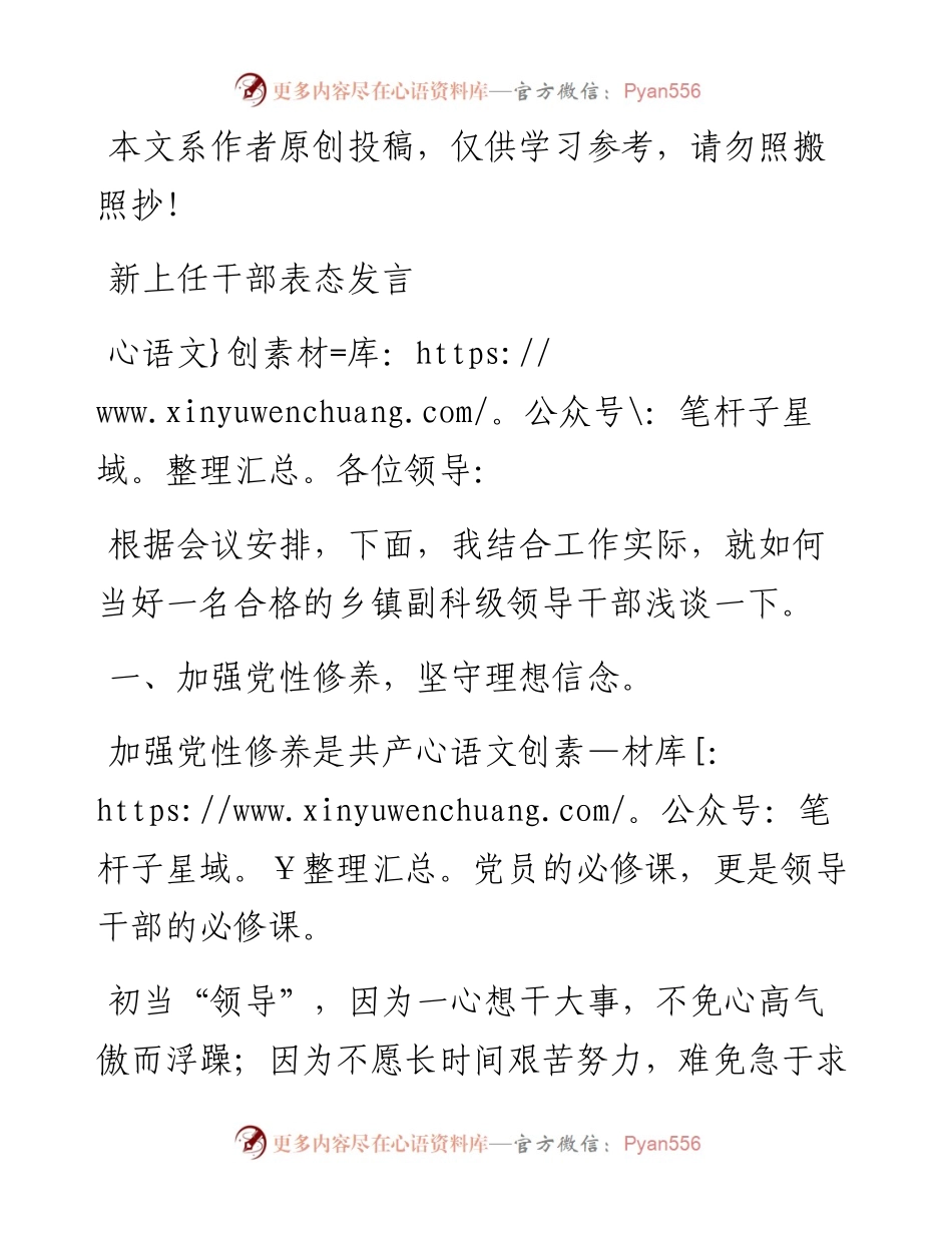 0519新上任干部表态发言（乡镇副职领导）.docx_第1页
