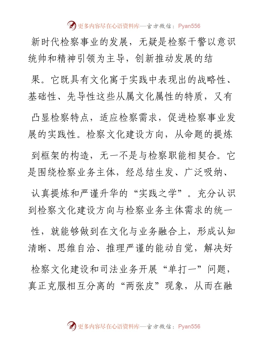 1.19临西县人民检察院检察长孔立韦：释放检察文化与业务互动融合发展活力.docx_第2页