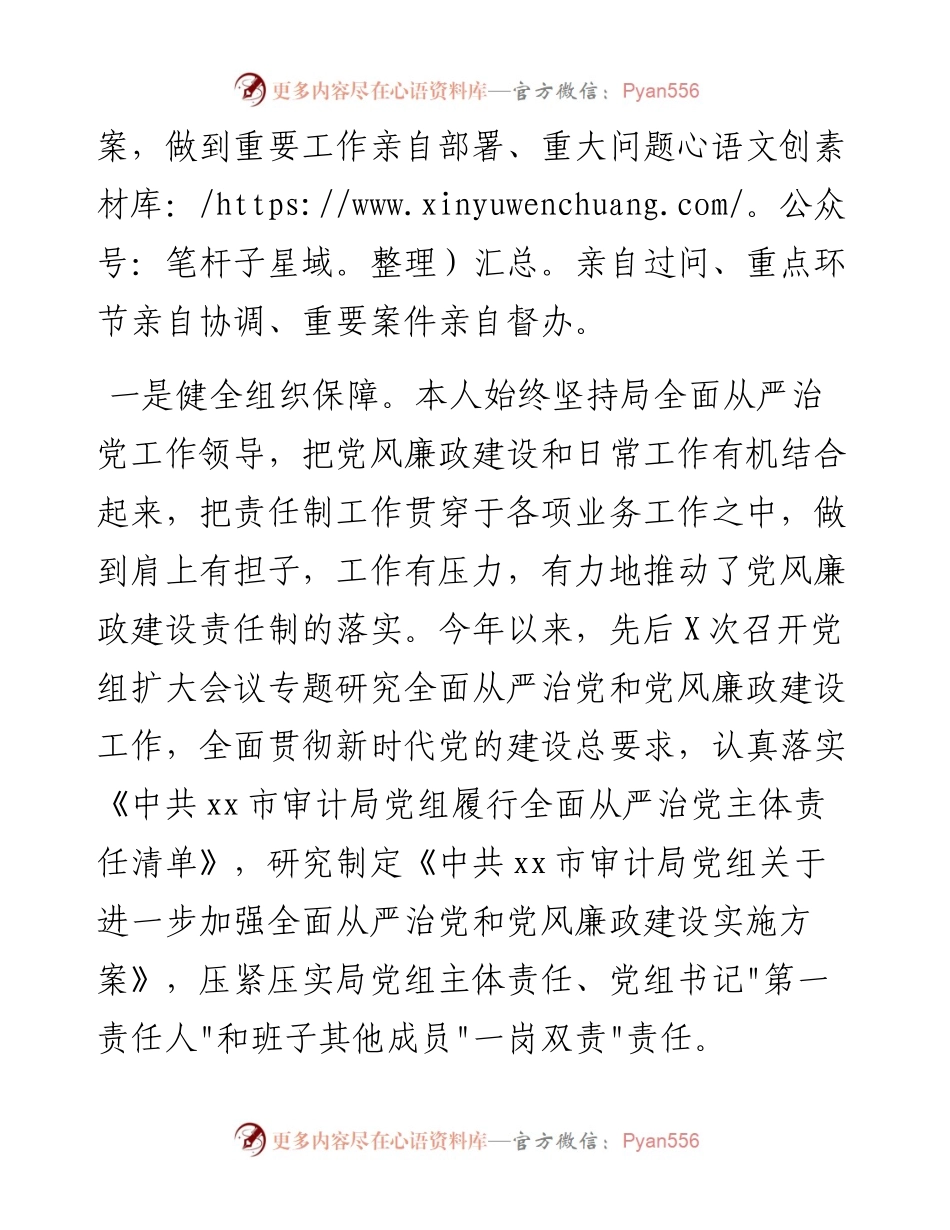 020116：市审计局党组书记落实第一责任人责任情况报告.docx_第2页
