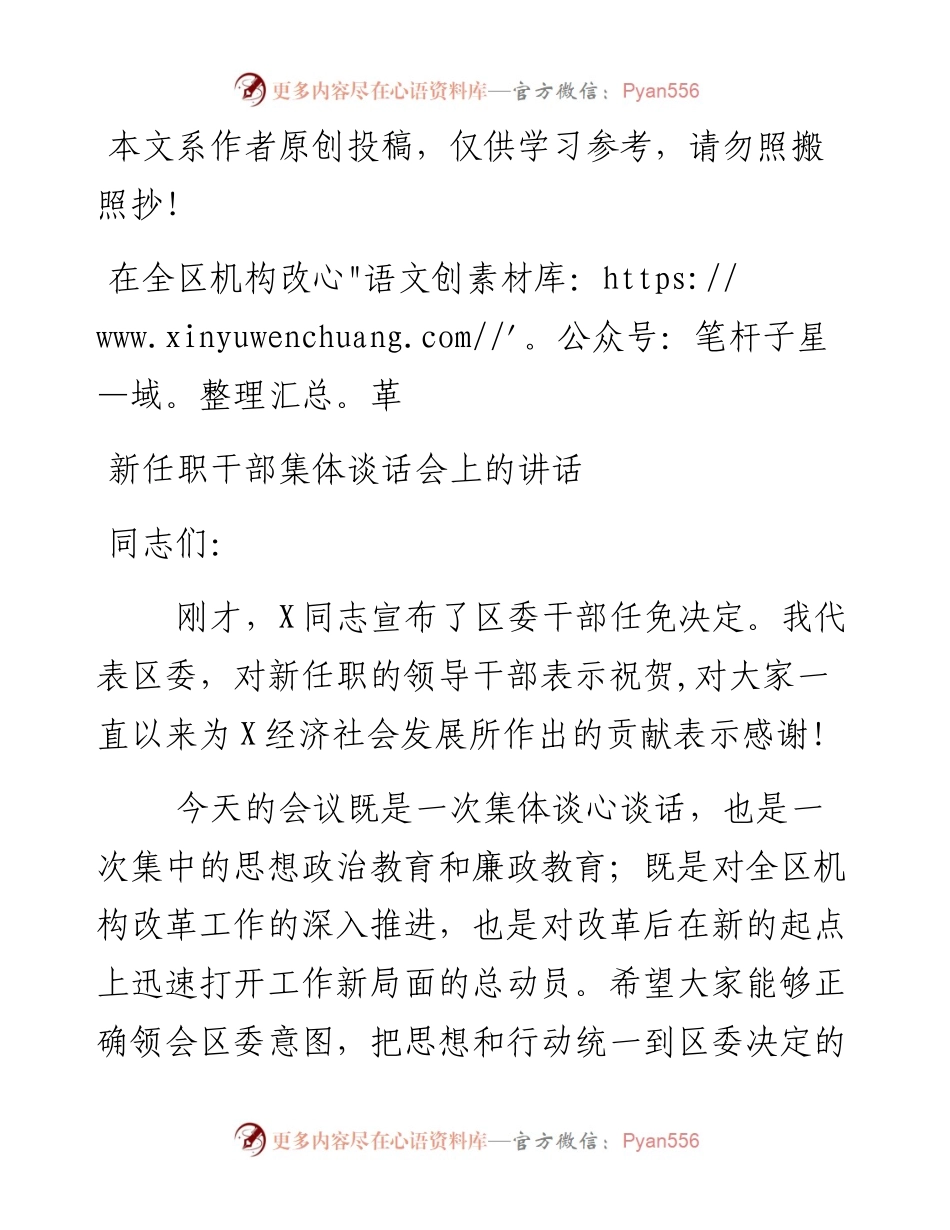 0217在全区机构改革新任职干部集体谈话会上的讲话（范文）.docx_第1页