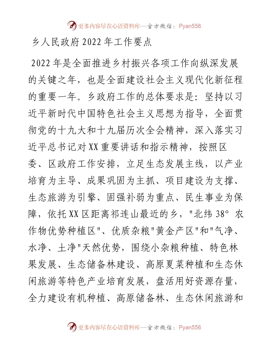 021219：乡人民政府工作要点.docx_第1页
