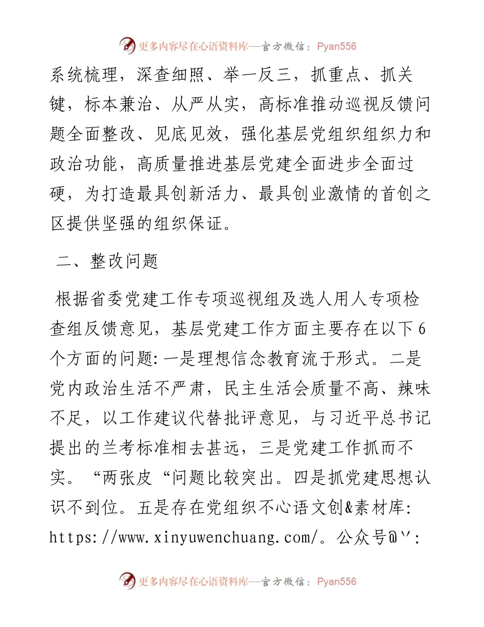 022906整改基层党建问题.docx_第2页