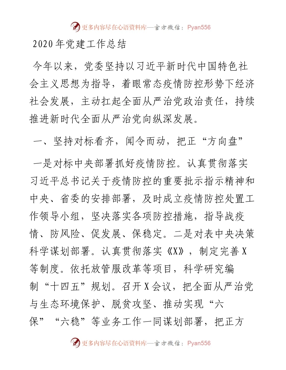 -党建工作总结.docx_第1页