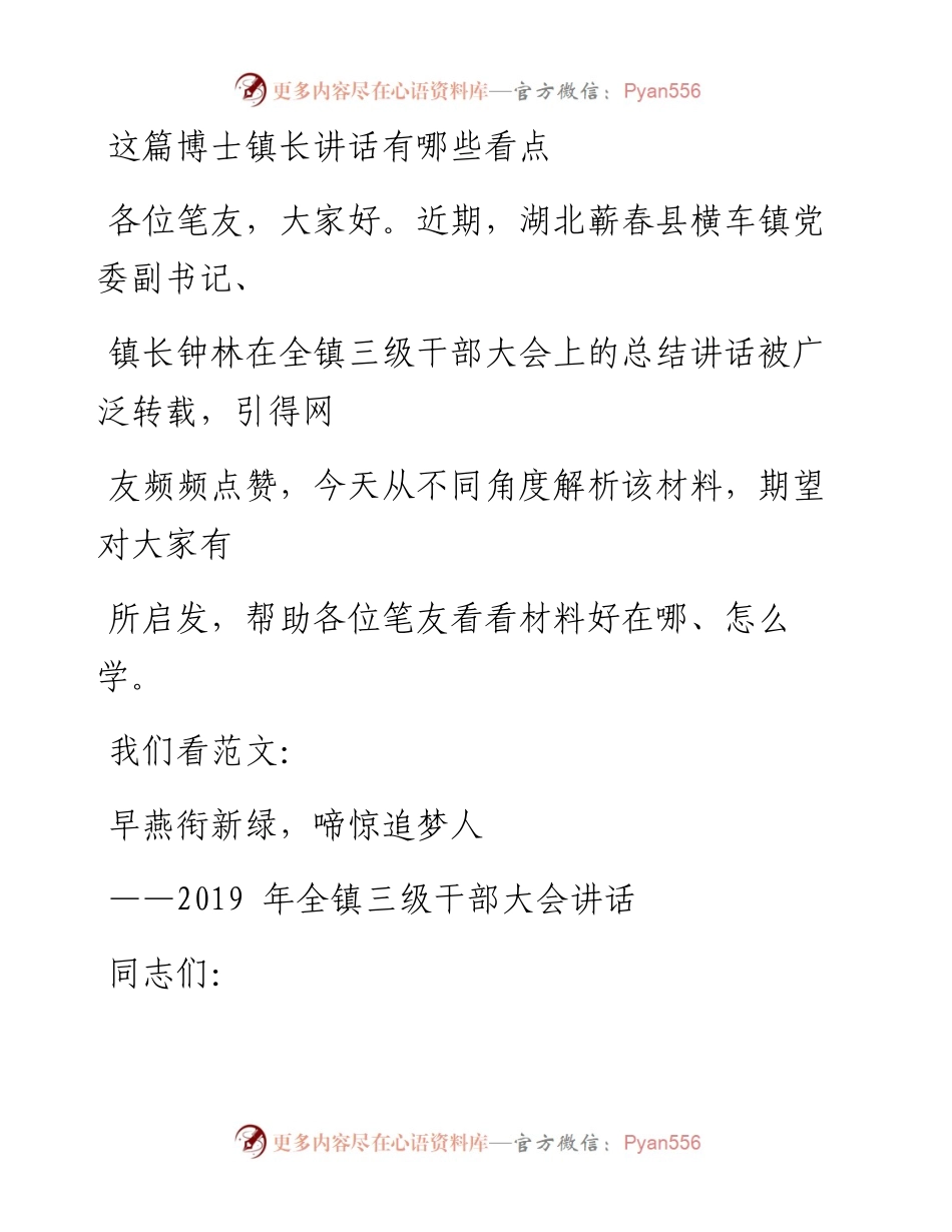 0305（五十二）这篇博士镇长讲话有哪些看点.docx_第1页