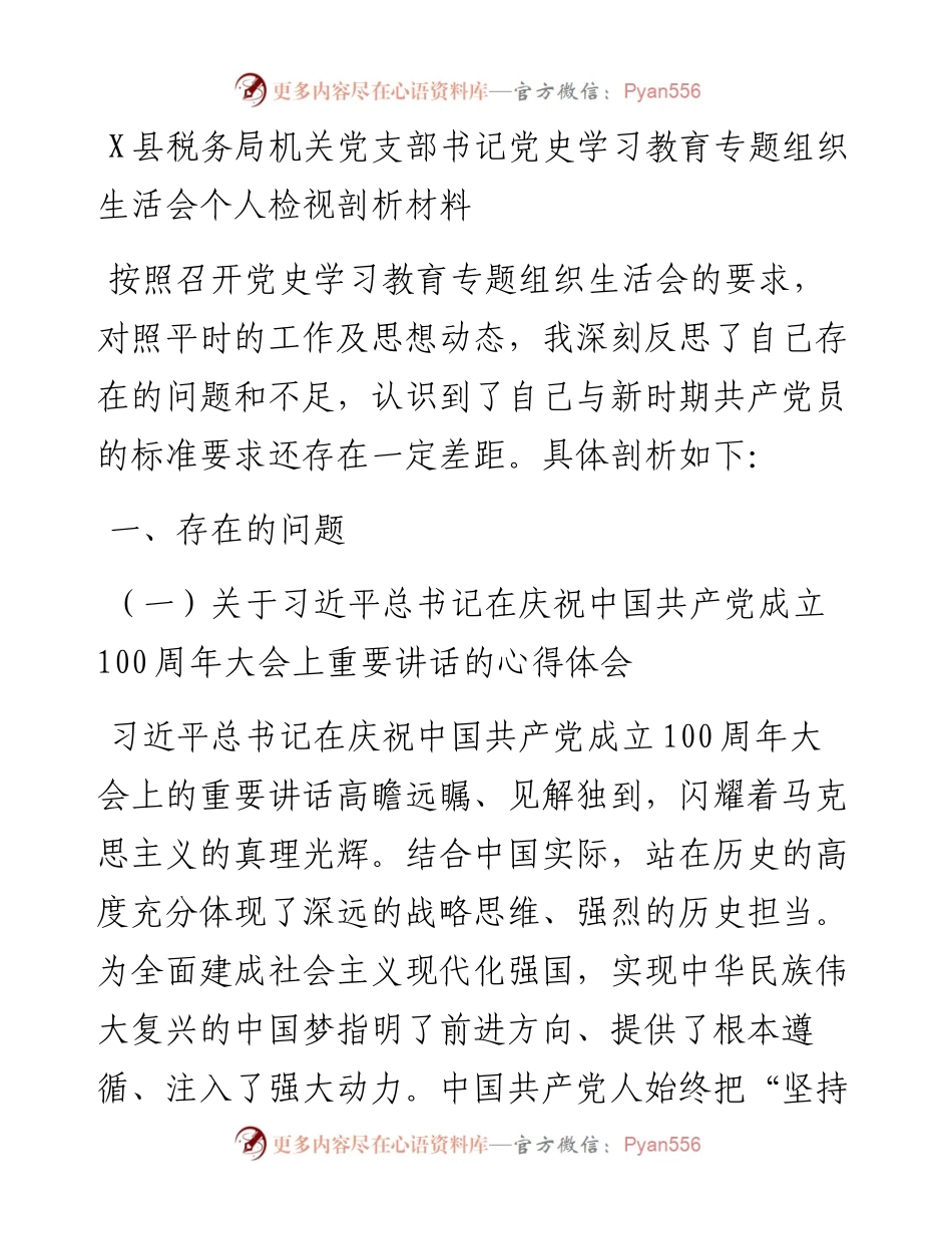 0810X县税务局机关党支部书记党史学习教育专题组织生活会个人检视剖析材料.docx_第1页