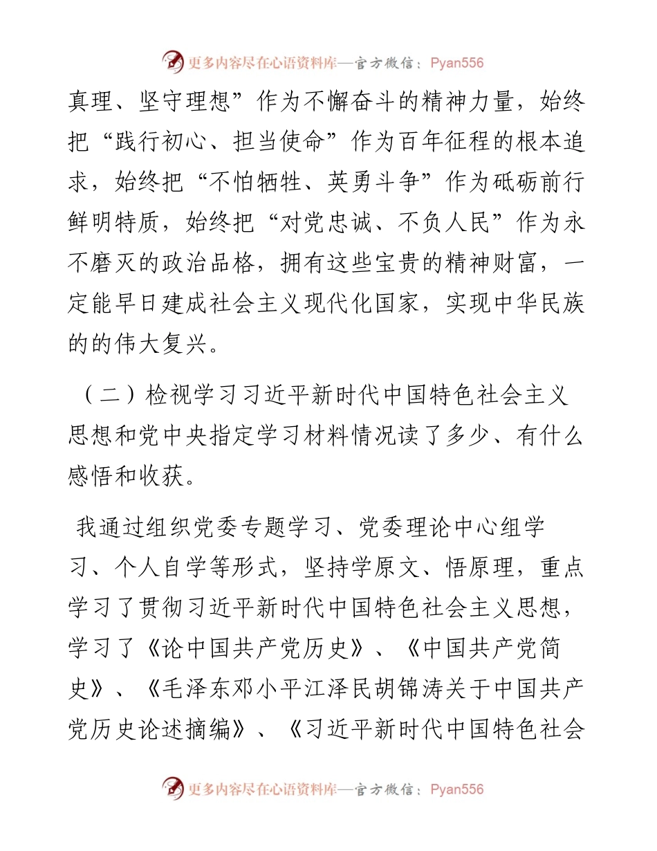 0810X县税务局机关党支部书记党史学习教育专题组织生活会个人检视剖析材料.docx_第2页