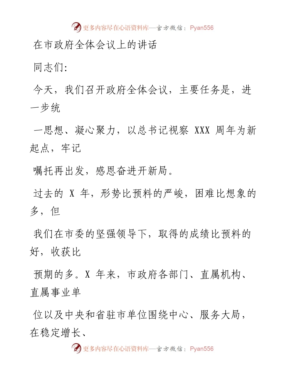 0528在市政府全体会议上的讲话.docx_第1页