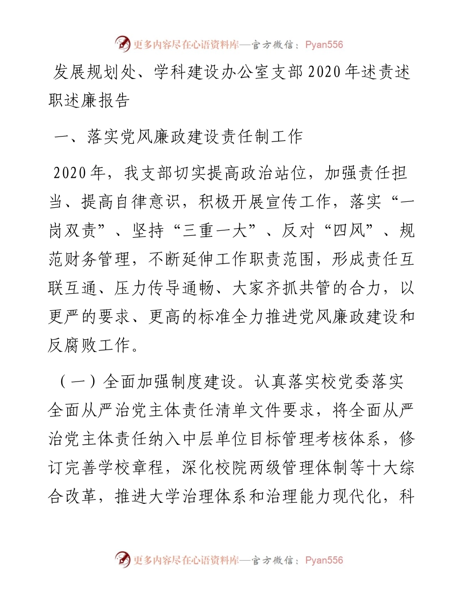 0120发展规划处学科建设办公室支部述责述职述廉报告.docx_第1页