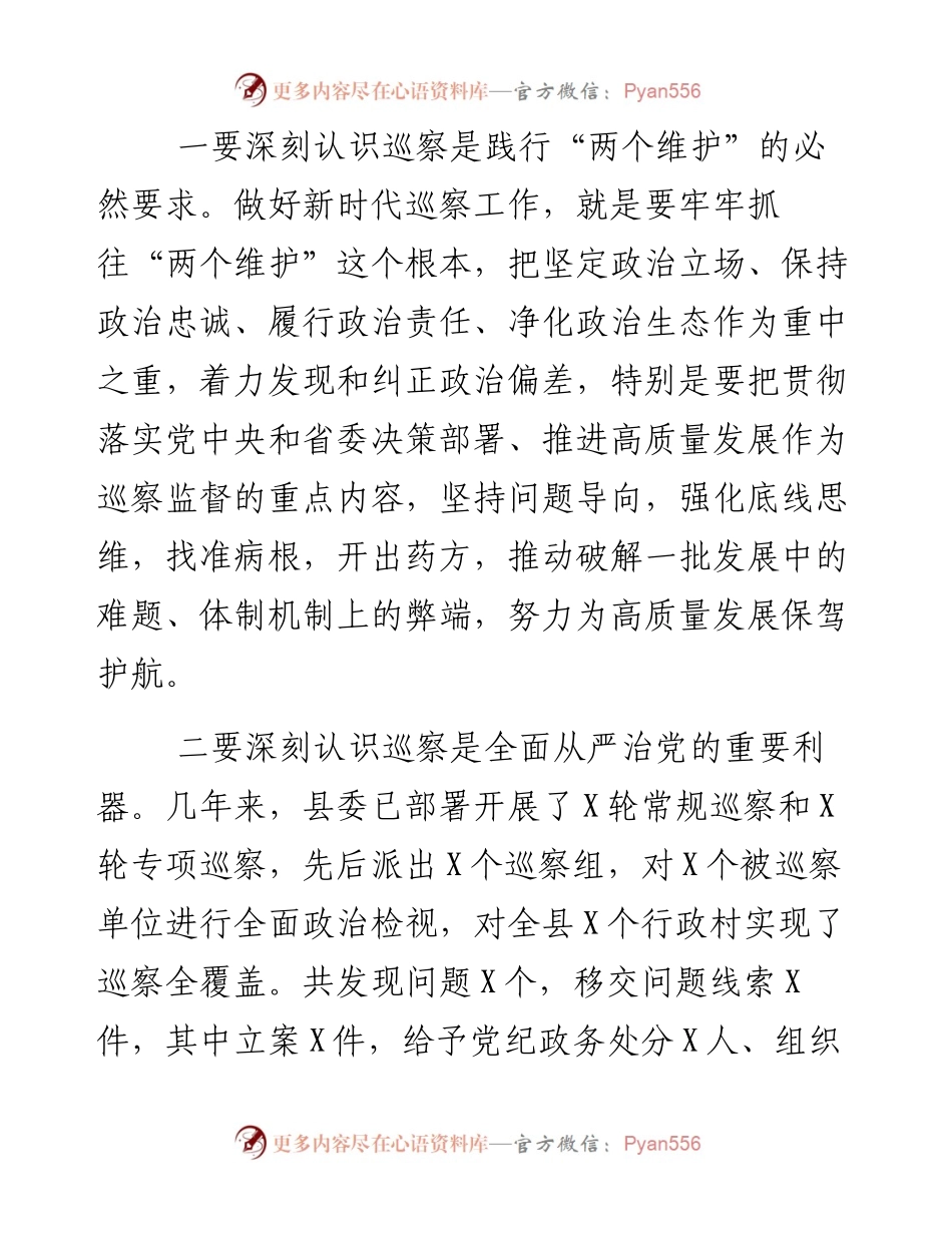 0508在“推磨式”交叉巡察动员会上的讲话.docx_第2页