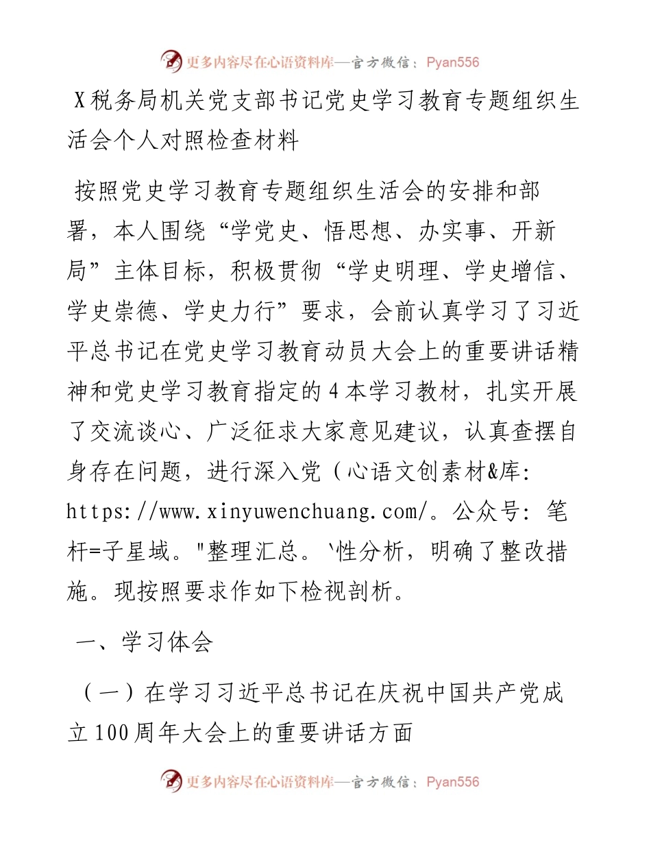 0803X税务局机关党支部书记党史学习教育专题组织生活会个人对照检查材料.docx_第1页