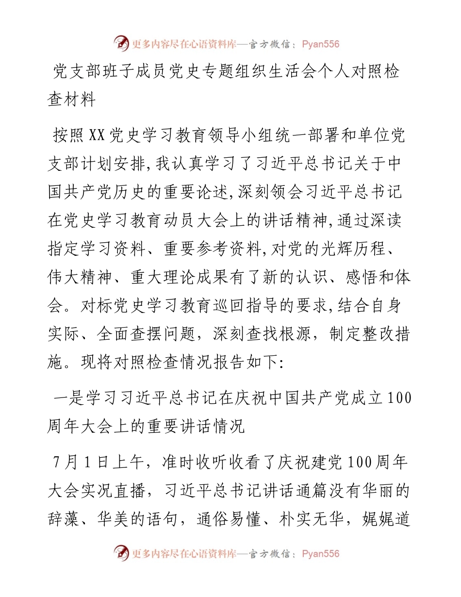 080604党支部班子成员党史专题组织生活会个人对照检查材料.docx_第1页