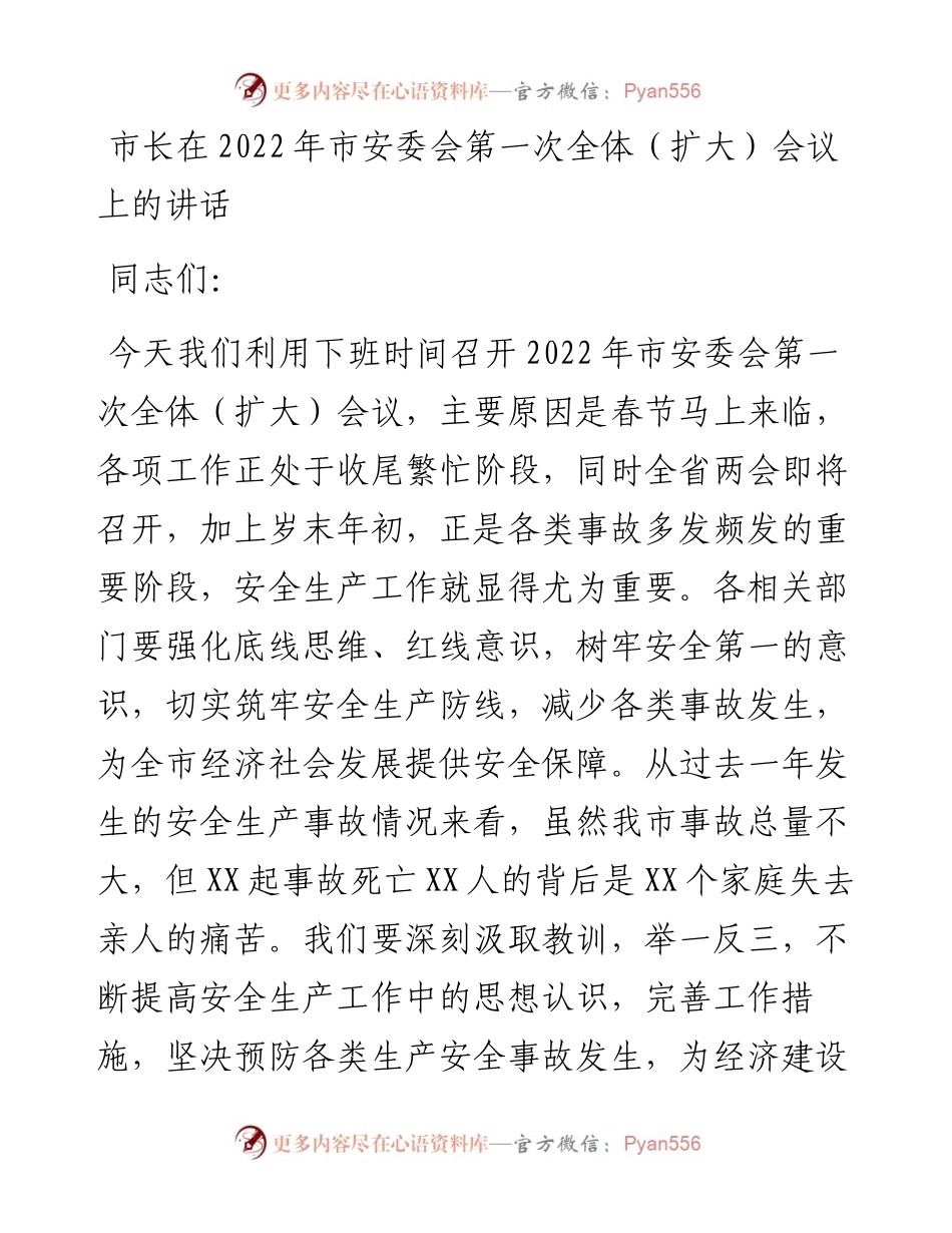 020619：市长在市安委会第一次全体（扩大）会议上的讲话.docx_第1页