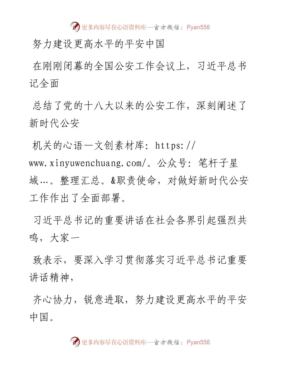 0510努力建设更高水平的平安中国.docx_第1页