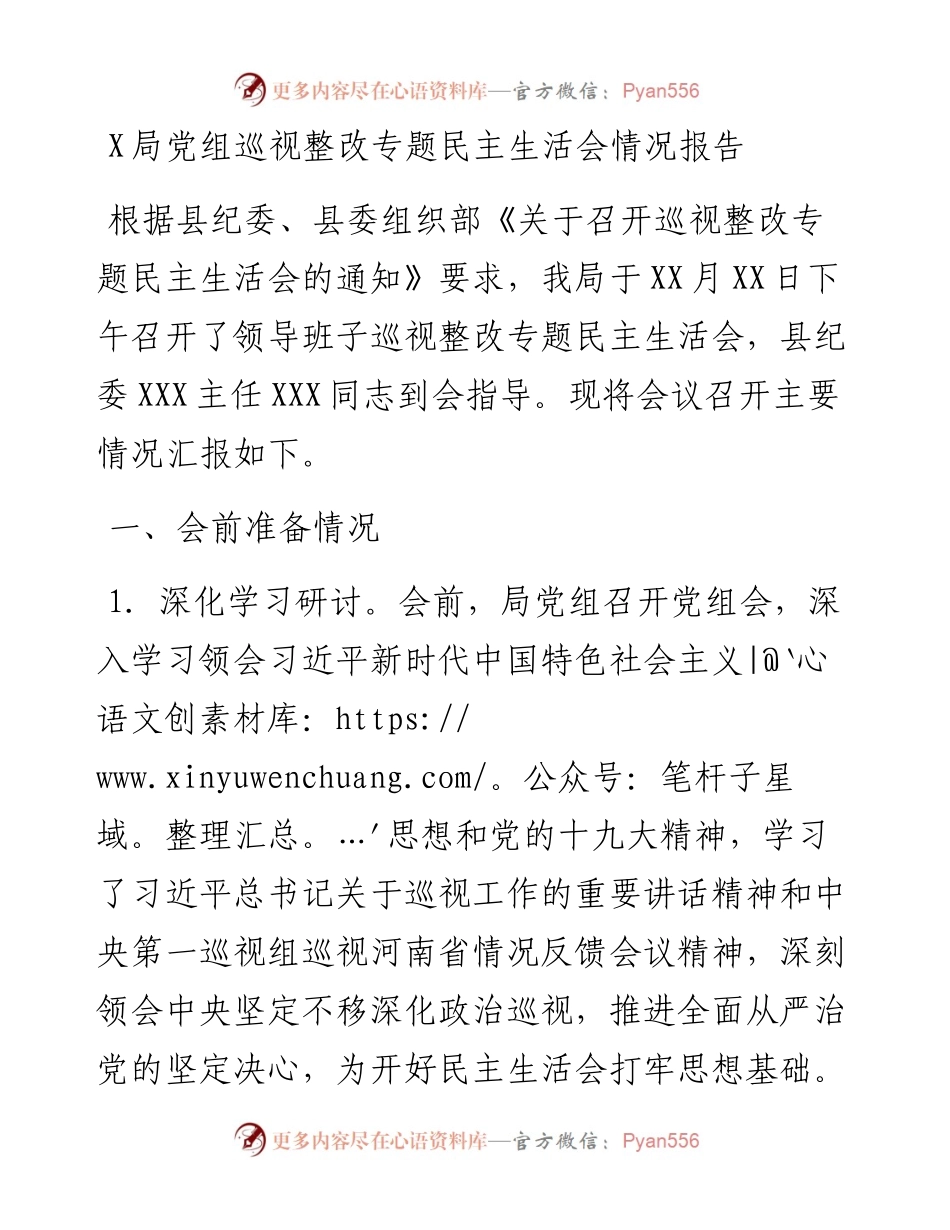 0811X局党组巡视整改专题民主生活会情况报告.docx_第1页