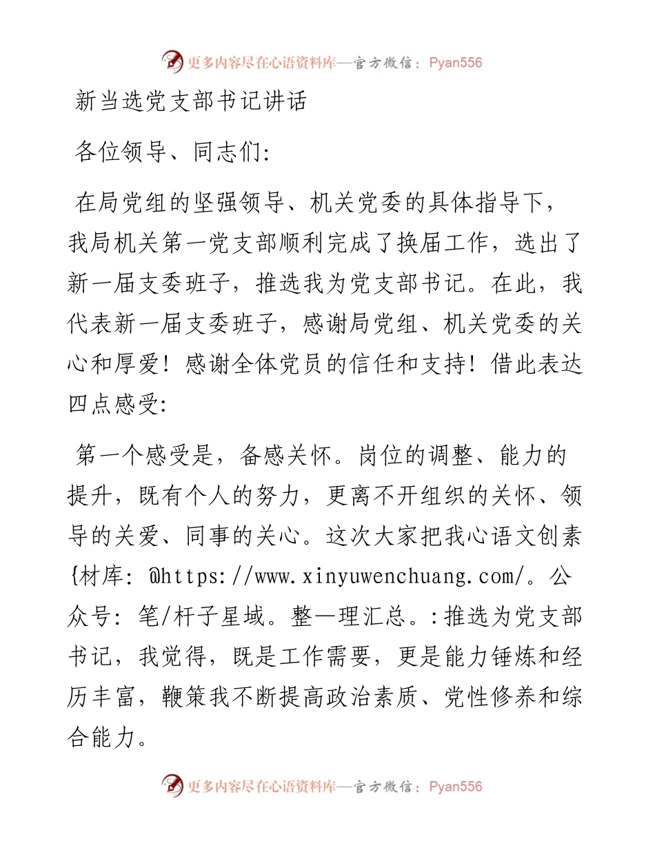 0210新当选党支部书记讲话.docx_第1页