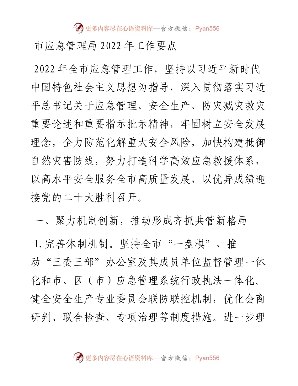 021520：市应急管理局工作要点.docx_第1页
