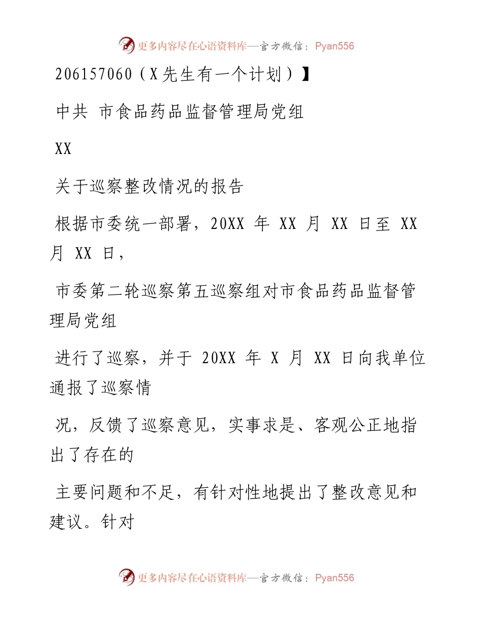0906笔友分享中共XX市食品药品监督管理局党组关于巡察整改情况的报告.docx_第1页