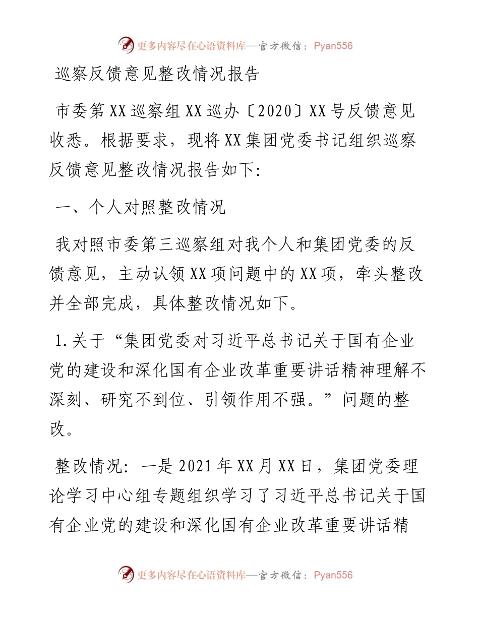0225国企党委书记组织巡察反馈意见整改情况报告.docx_第1页