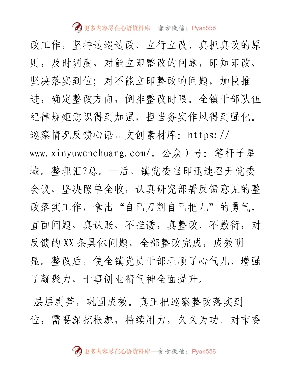 0312市委巡察问题整改工作成效及经验（镇）.docx_第2页