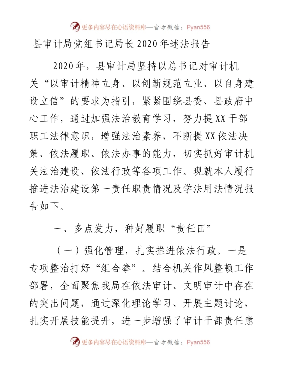 0215县审计局党组书记局长述法报告.docx_第1页