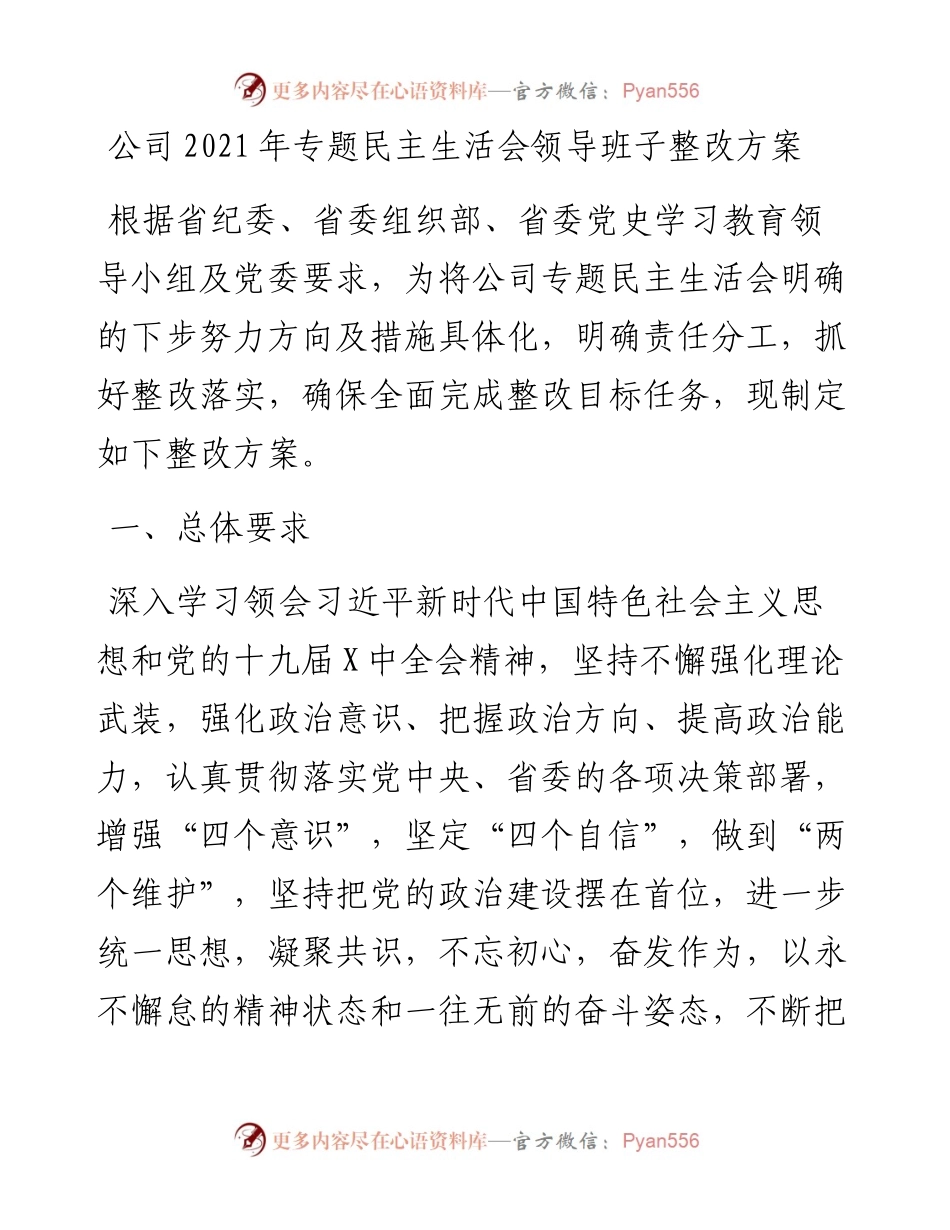 021733：公司专题民主生活会领导班子整改方案.docx_第1页