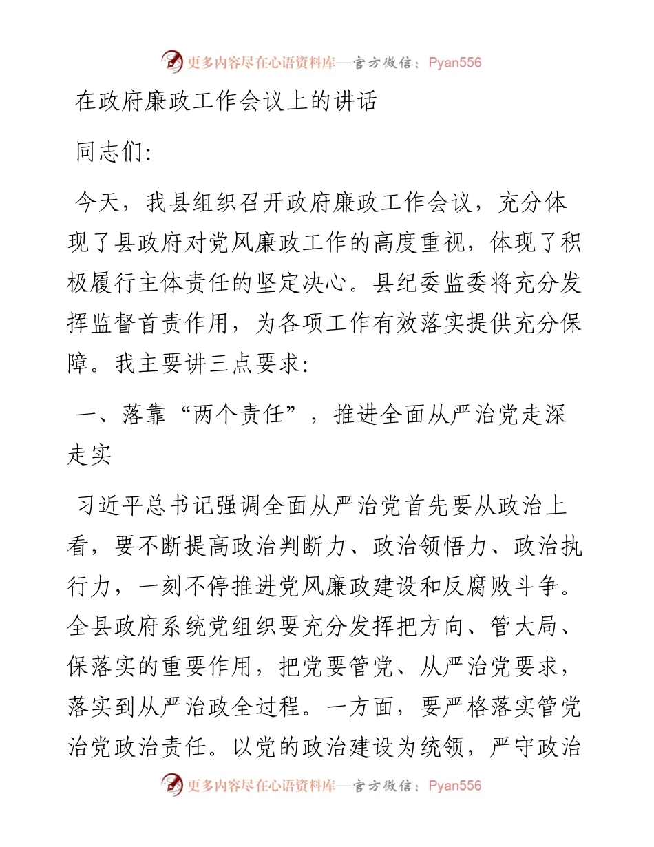 0503在政府廉政工作会议上的讲话.docx_第1页