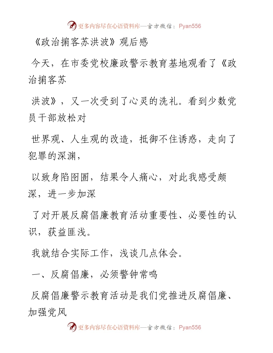 0515笔友分享政治掮客苏洪波观后感.docx_第1页