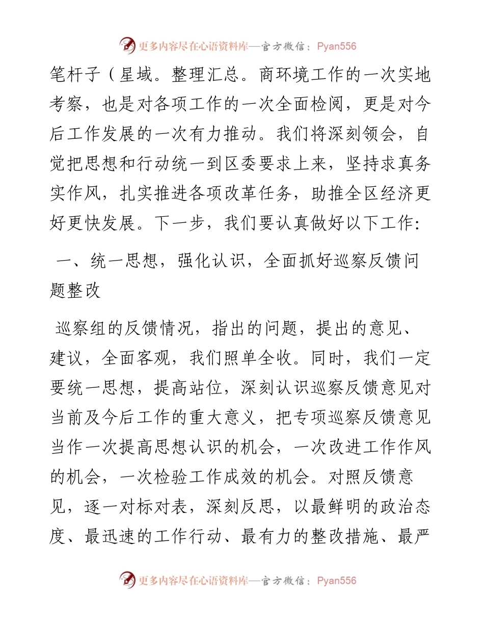 021865：优化营商环境专项巡察反馈会表态发言.docx_第2页