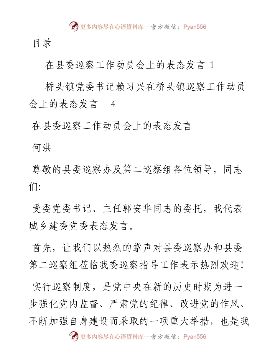0514巡察表态发言汇编.docx_第1页