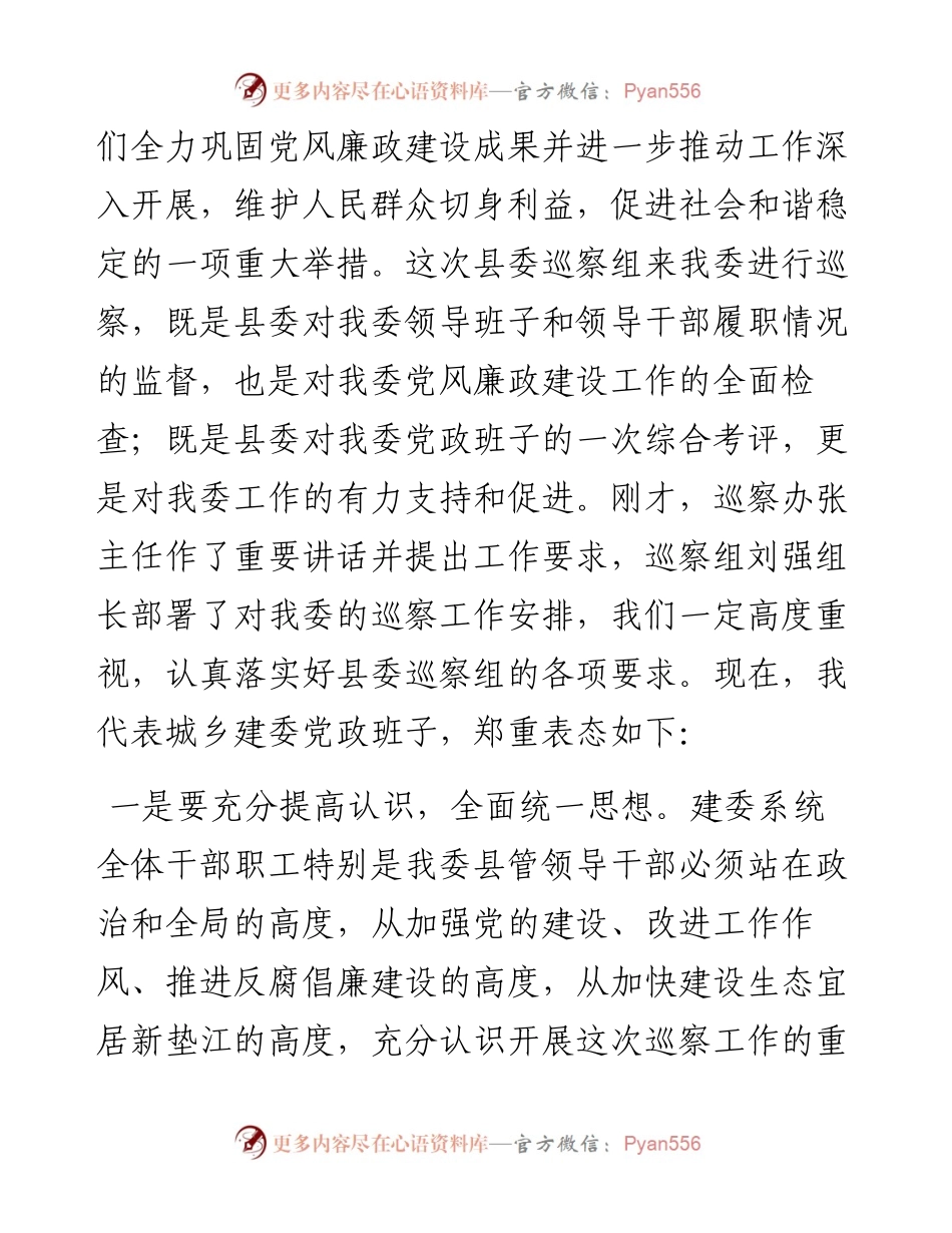 0514巡察表态发言汇编.docx_第2页