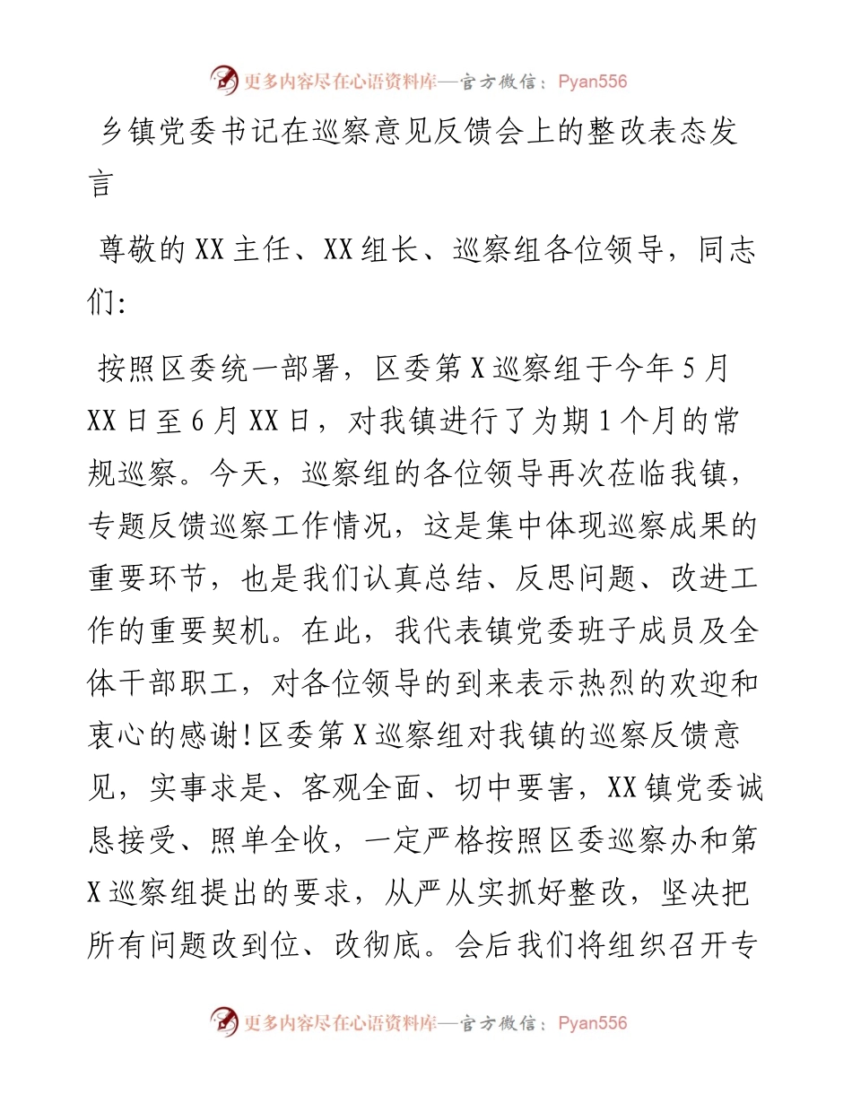 0124笔友分享乡镇党委书记在巡察意见反馈会上的整改表态发言.docx_第1页