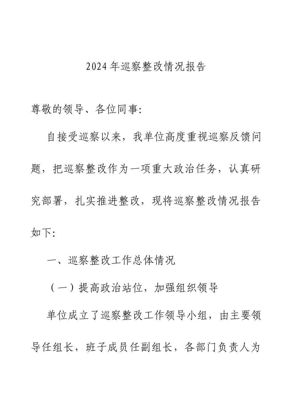 2024年巡察整改情况报告.docx_第1页