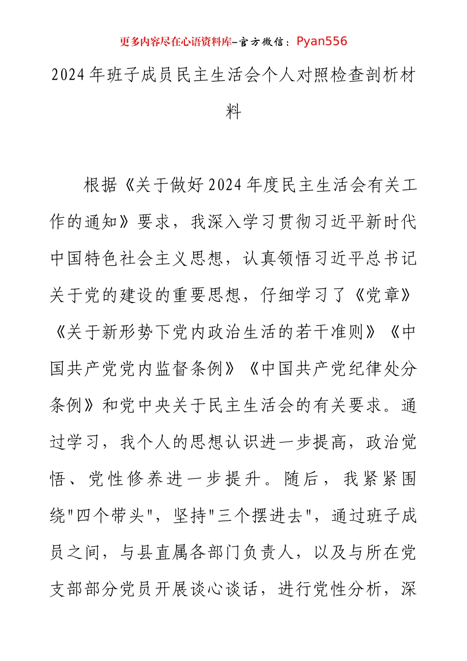 2024年班子成员民主生活会个人对照检查剖析材料.docx_第1页