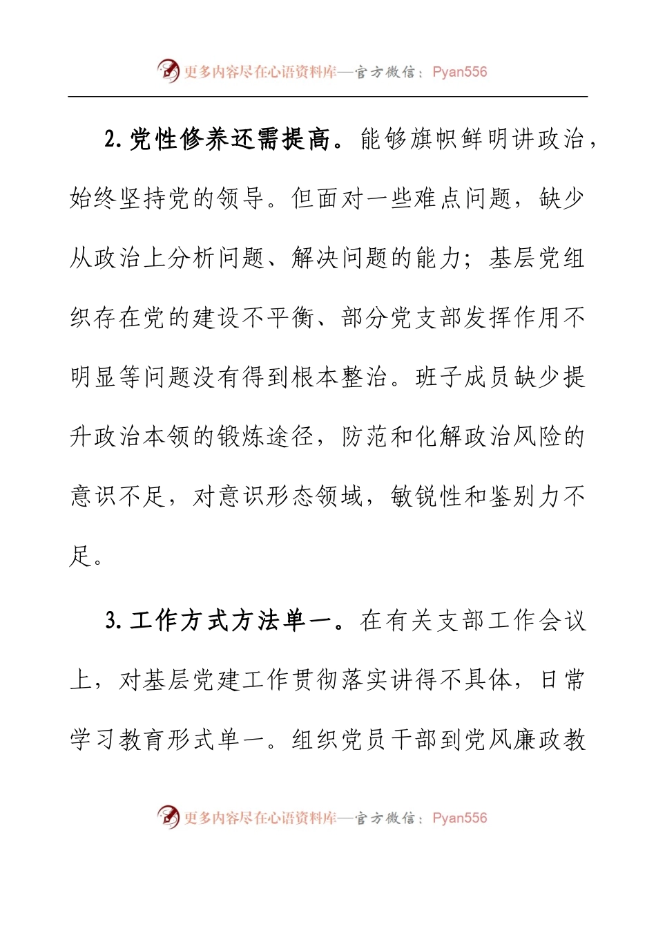 2022年度组织生活会上对党支部及支委成员的批评意见.docx_第2页