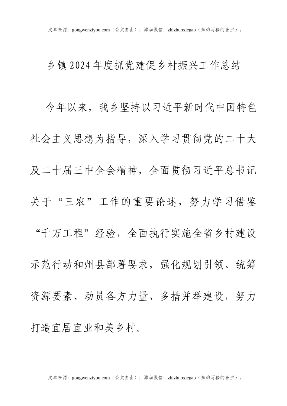 乡镇2024年度抓党建促乡村振兴工作总结.docx_第1页