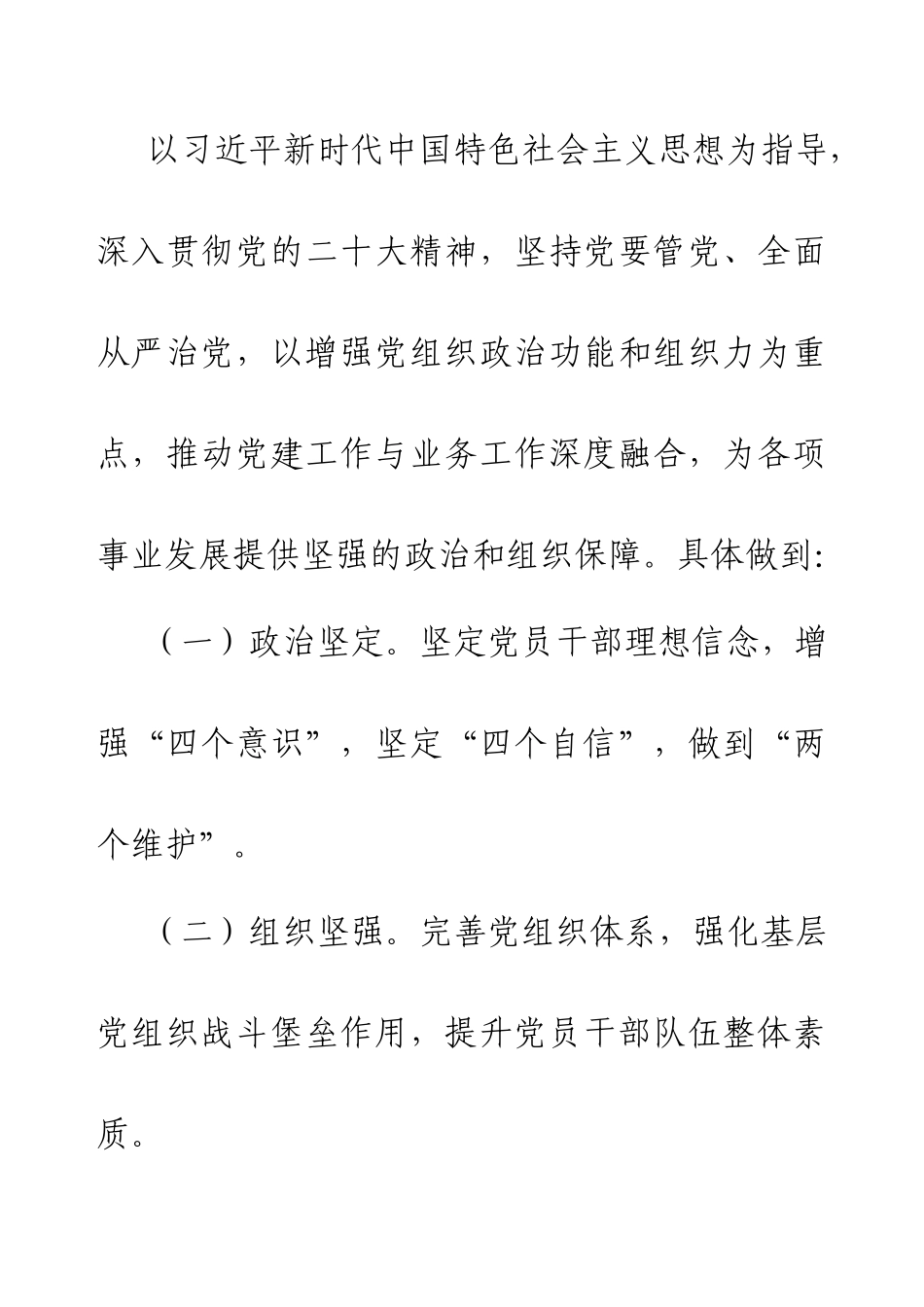 2025年党建工作计划.docx_第2页