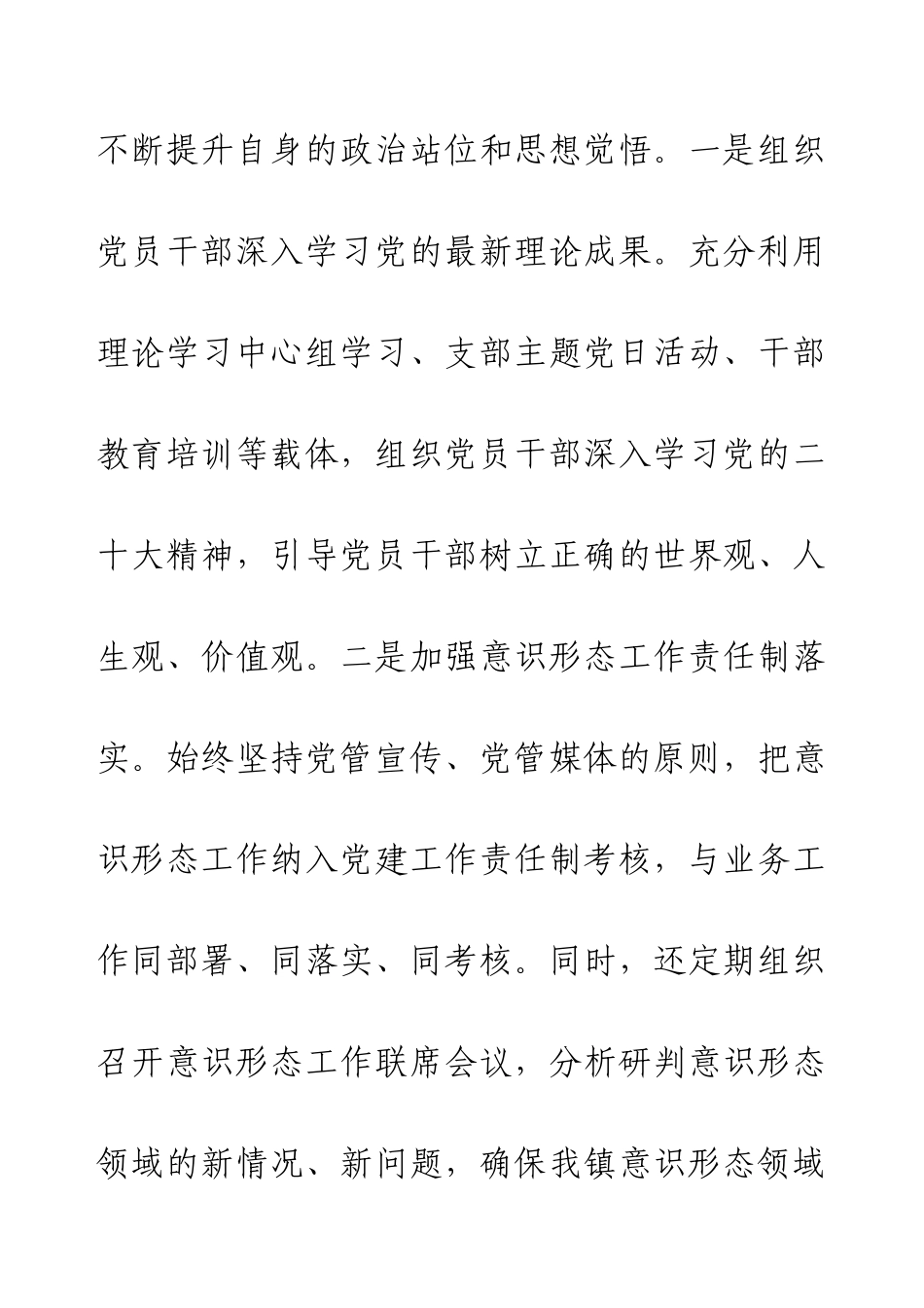 乡镇宣传委员2024年度述职述廉报告.docx_第2页