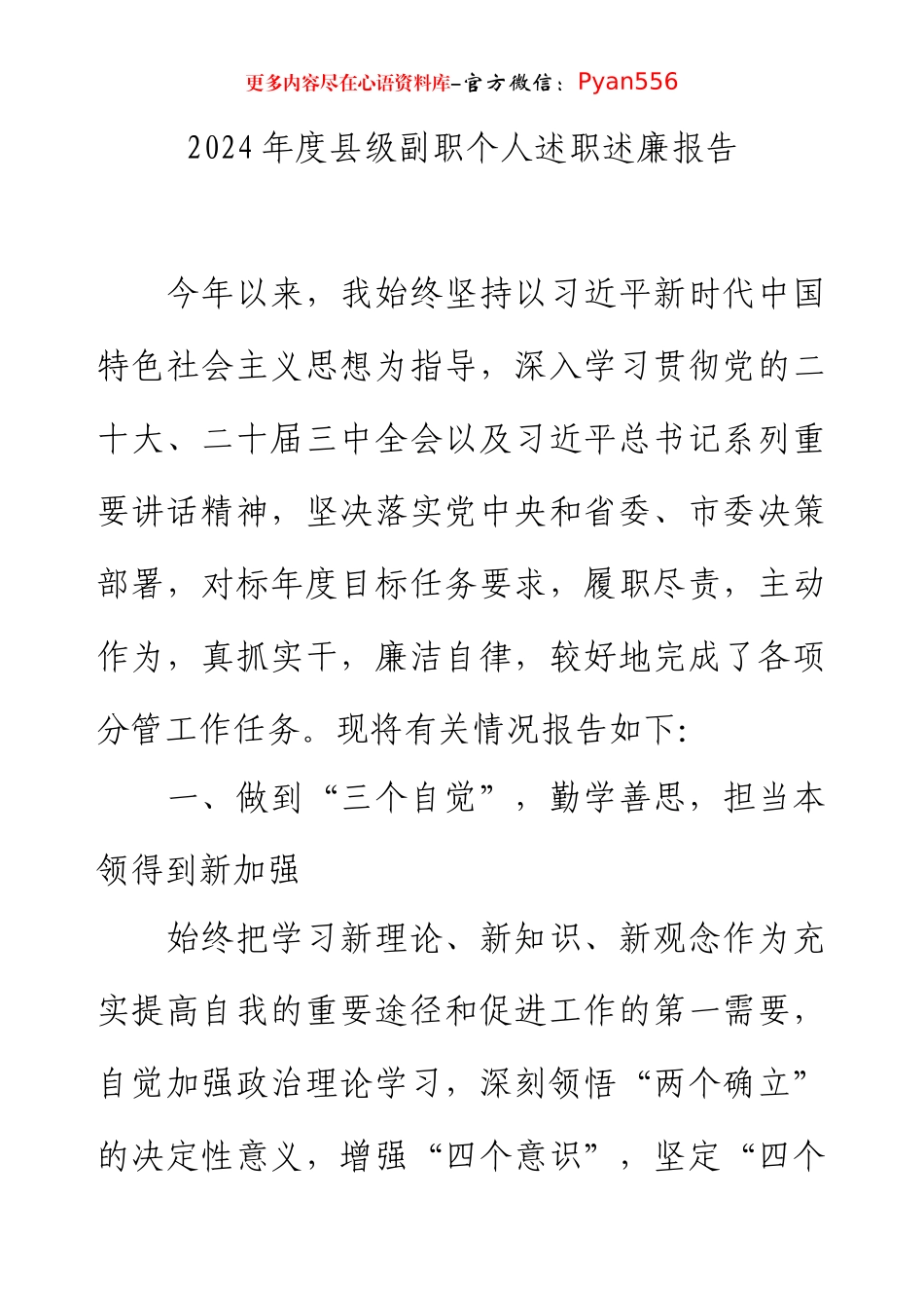 2024年度县级副职个人述职述廉报告.docx_第1页