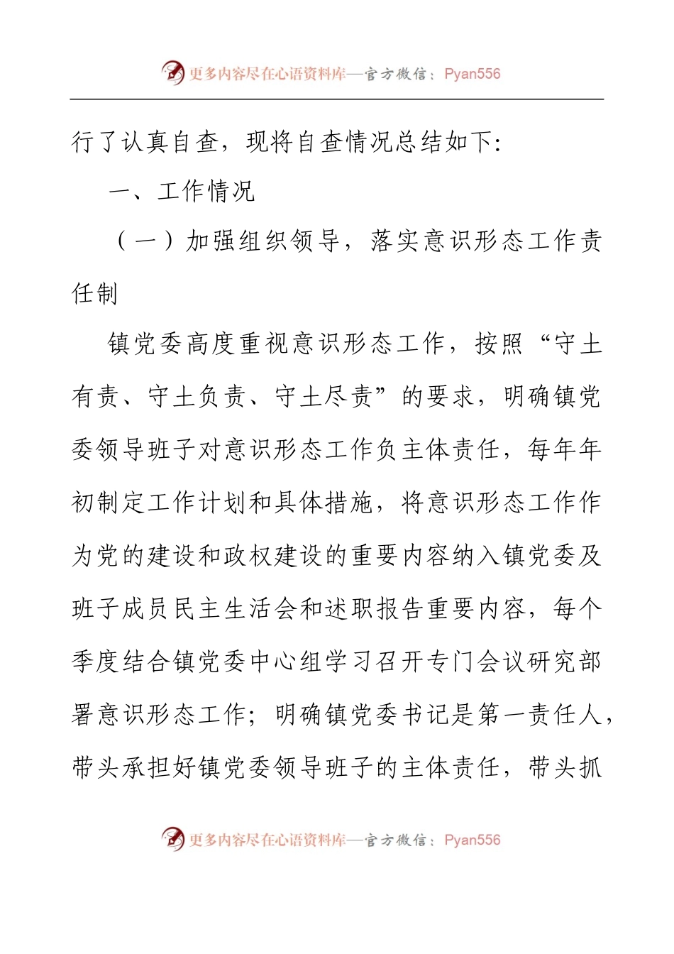 乡镇意识形态工作情况自查报告.docx_第2页