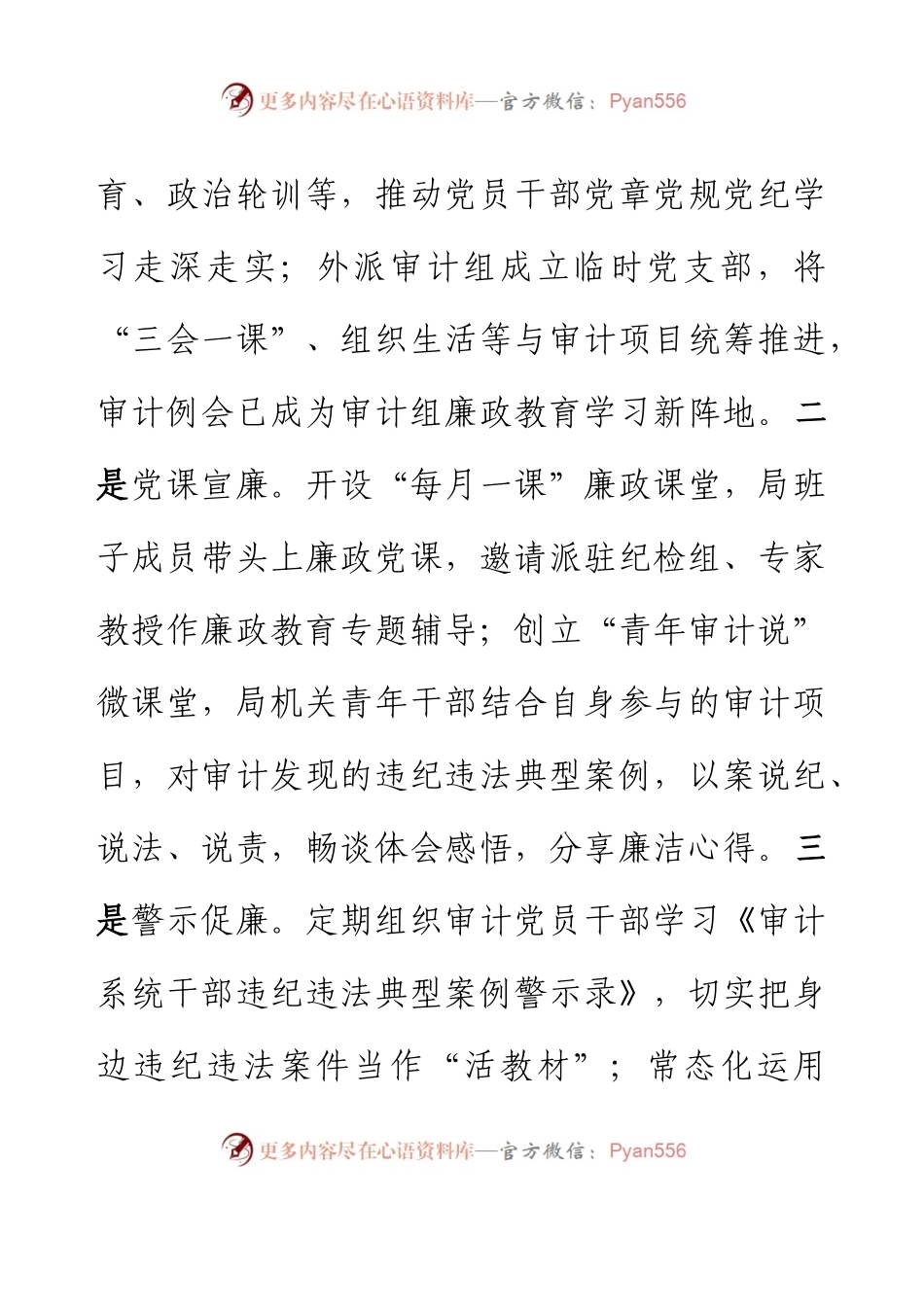 XX市审计局在全市党建工作会议上作交流发言.docx_第2页