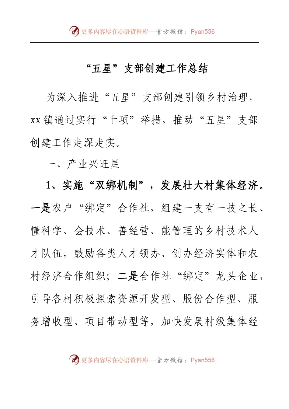 “五星”支部创建工作总结.docx_第1页