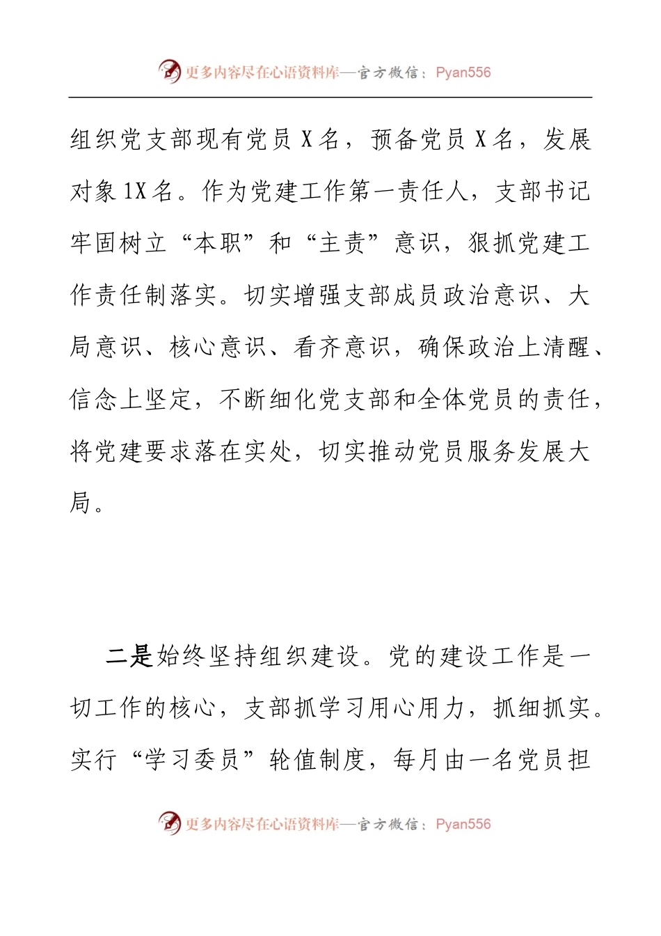 2022-2023党支部书记抓基层党建工作述职报告.docx_第2页