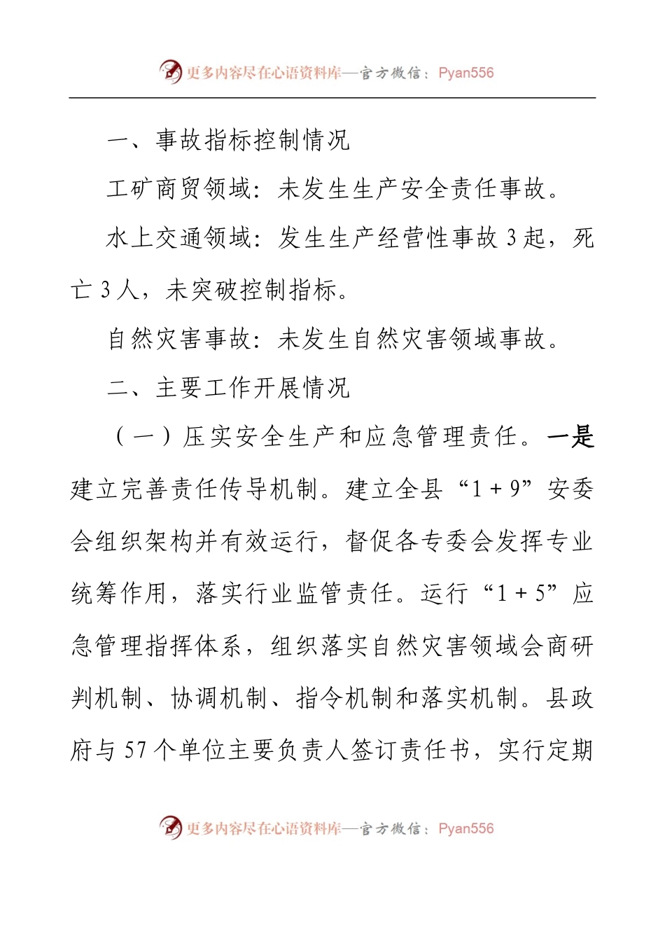 2022年安全生产和应急管理工作总结.docx_第2页