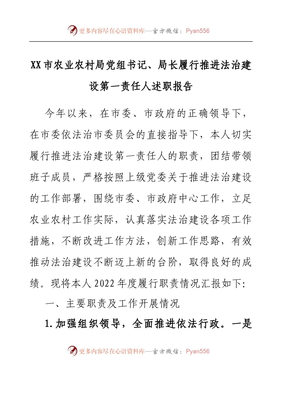 XX市农业农村局党组书记、局长履行推进法治建设第一责任人述职报告.docx_第1页