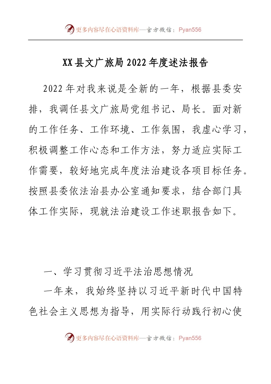 XX县文广旅局2022年度述法报告.docx_第1页