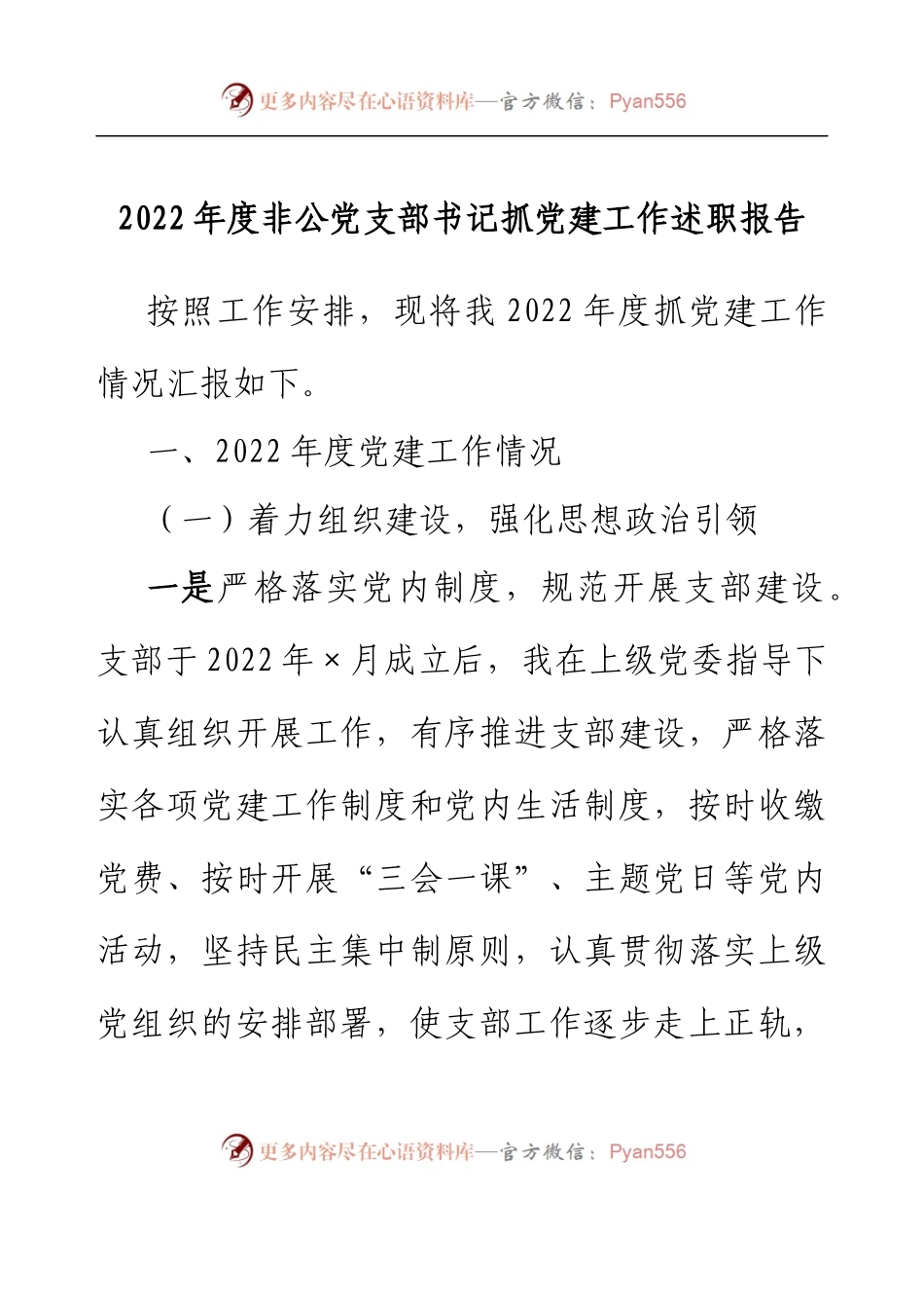 2022年度非公党支部书记抓党建工作述职报告.docx_第1页