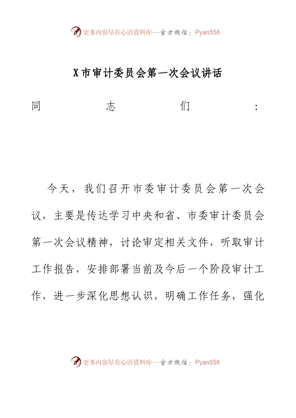 X市审计委员会第一次会议讲话.docx_第1页